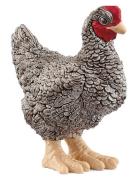 Schleich Plymouth Rock Chicken Toys Playsets & Action Figures Animals ...