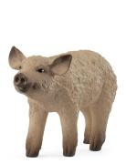 Schleich Mangalica Piglet Toys Playsets & Action Figures Animals Beige...