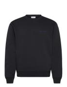 Emerson Tops Sweatshirts & Hoodies Sweatshirts Black Tiger Of Sweden