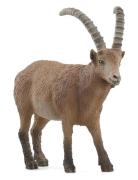 Schleich Ibex Toys Playsets & Action Figures Animals Beige Schleich