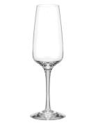 Pulse Champagneglass 28Cl 2-Pack Home Tableware Glass Champagne Glass ...