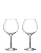More Pinot Vinglas 60Cl 2-Pack Home Tableware Glass Wine Glass Red Win...