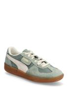 Palermo Vintage Sport Sport Shoes Sport Sneakers Sport Low Top Sneaker...
