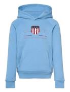 Archive Shield Raglan Hoodie Tops Sweatshirts & Hoodies Hoodies Blue G...
