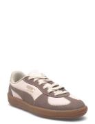 Palermo Wine Club Wns Sport Women Sport Shoes Sport Sneakers Sport Low...