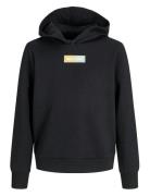 Jjpan Sweat Hood Jnr Tops Sweatshirts & Hoodies Hoodies Black Jack & J...