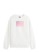 Tjw Rlx Gradient Flag Crew Tops Sweatshirts & Hoodies Sweatshirts Whit...
