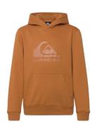 Comp Logo Hoodie Youth Tops Sweatshirts & Hoodies Hoodies Brown Quiksi...
