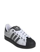 Superstar Ii Sport Women Sport Shoes Sport Sneakers Sport Low Top Snea...