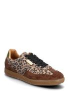 Emporia Low-top Sneakers Brown Steve Madden