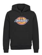 M Icon Logo Hoodie Tops Sweatshirts & Hoodies Hoodies Black Dickies