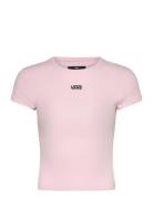 Cameron Tee Tops T-shirts & Tops Short-sleeved Pink VANS