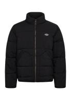 M Summerdale Puffer Foret Jakke Black Dickies