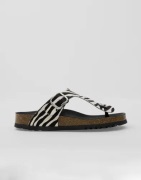 Scholl - Mønstret - Anais Animal