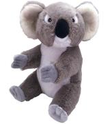 Wild Republic Bamse - Ecokins - 16x26 - Koala