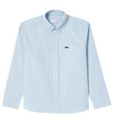 Lacoste Skjorte - Phoenix Blue/White