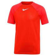 Nike Trænings T-Shirt Dri-FIT Academy Pro - Rød/Rød/Hvid Børn