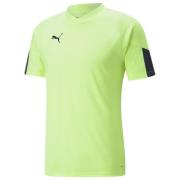 PUMA Trænings T-Shirt IndividualFINAL - Grøn/Blå