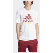 Adidas AS Roma DNA Graphic T-shirt