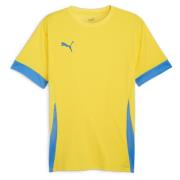 PUMA Trænings T-Shirt teamGOAL - Gul/Blå