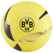 Dortmund Fodbold Pre Match - Gul/Sort