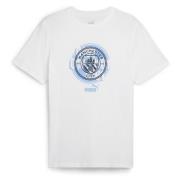 Puma Manchester City ftblCULTURE Tee Men